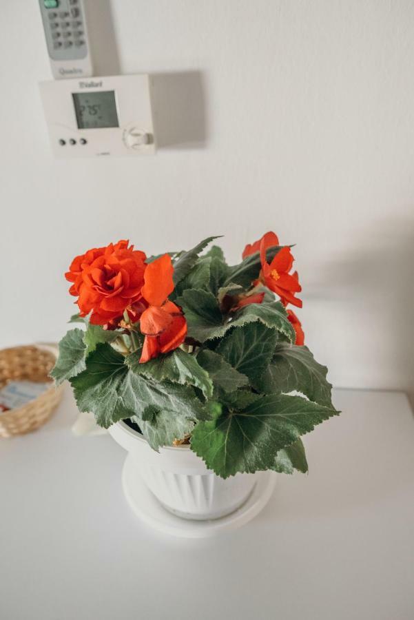 Apartman "Joka" จาโกโว ภายนอก รูปภาพ